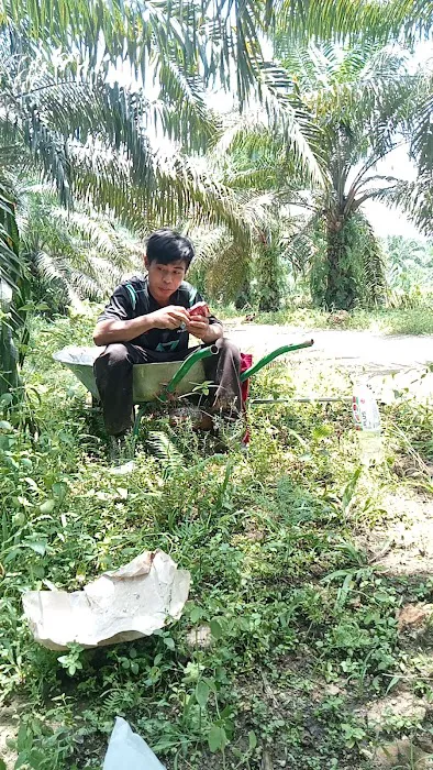 lubuk syukur Picture 6