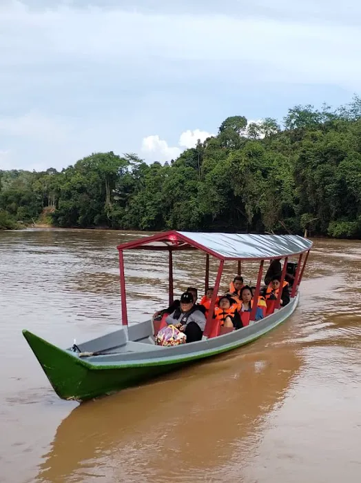 Lipis Riverfront Resort Picture 3