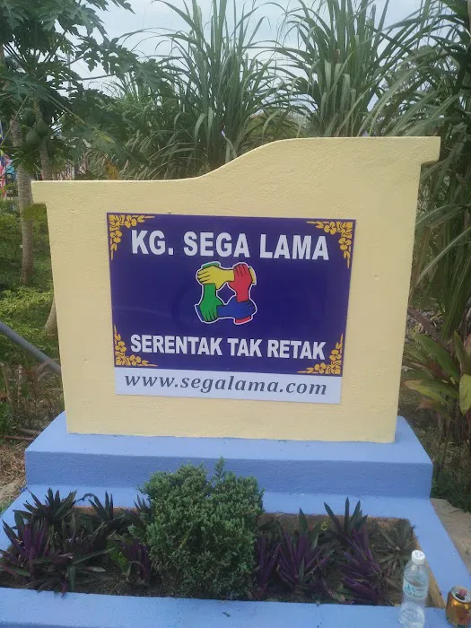 Masjid Hijrah Kg. Sega Lama Picture 5