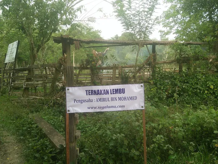 Masjid Hijrah Kg. Sega Lama Picture 9