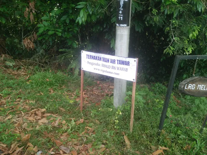 Masjid Hijrah Kg. Sega Lama Picture 8
