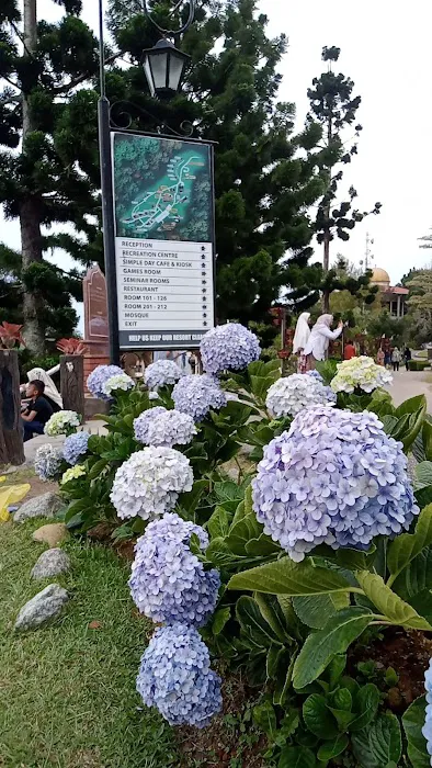 Gunung jerai Picture 4