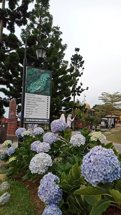 Gunung jerai Picture 2