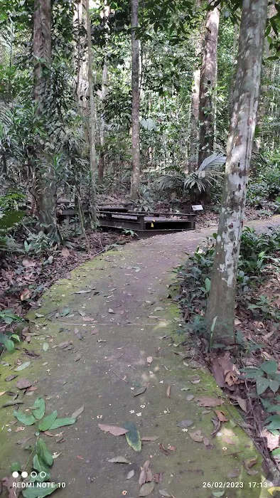 Hiking Trail Picture 4