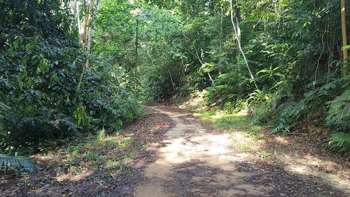 Hiking Trail Picture 7