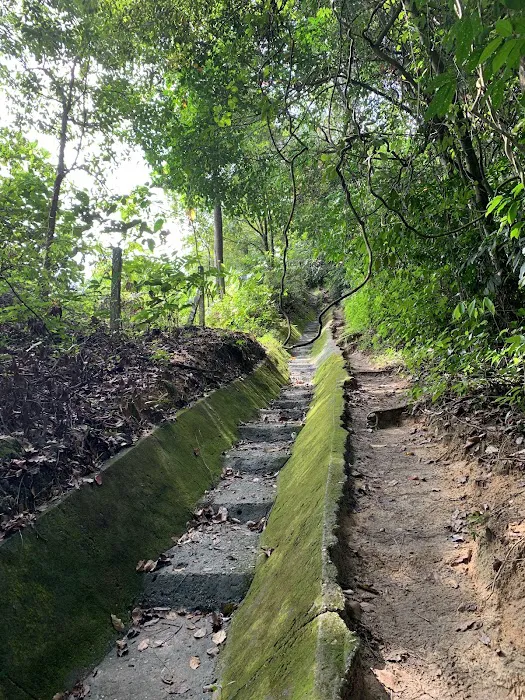 Sri Bintang Hill Trail Picture 3