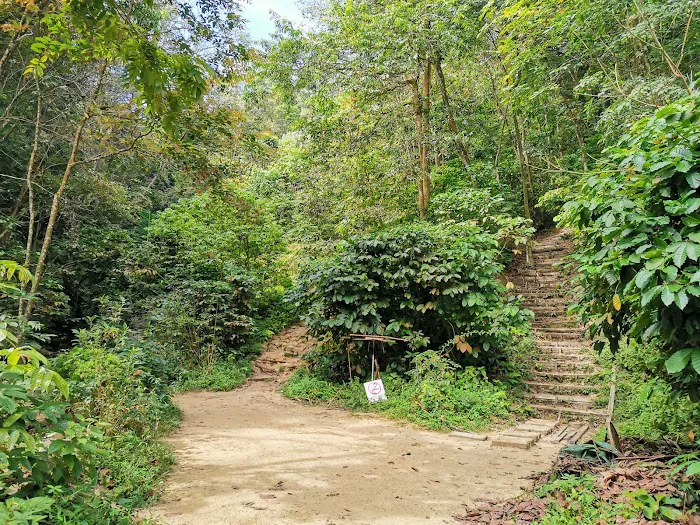 Bukit Sri Bintang Peak 1 Picture 6