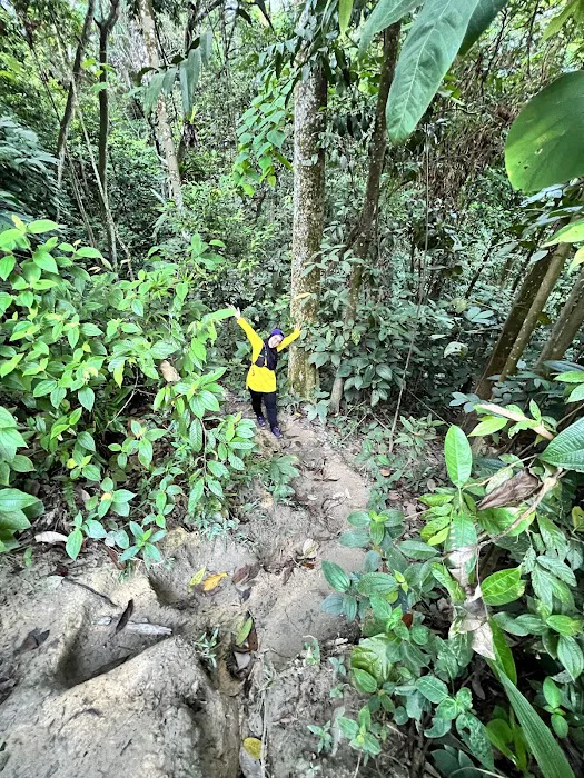 Bukit Sri Bintang Peak 1 Picture 9