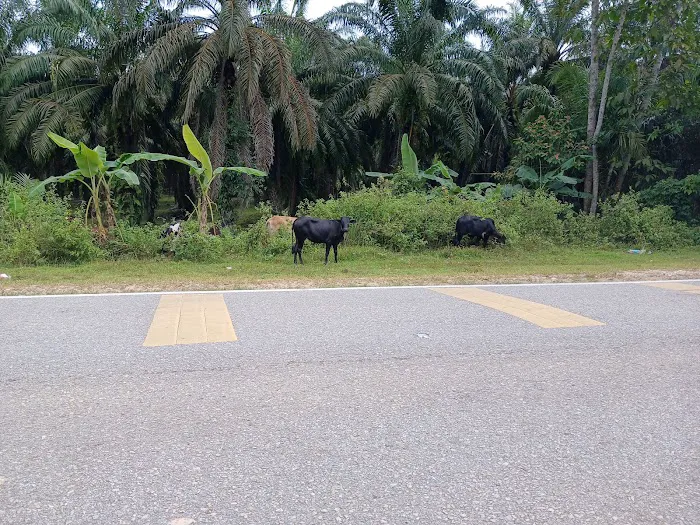 KAWASAN LEMBU Picture 1