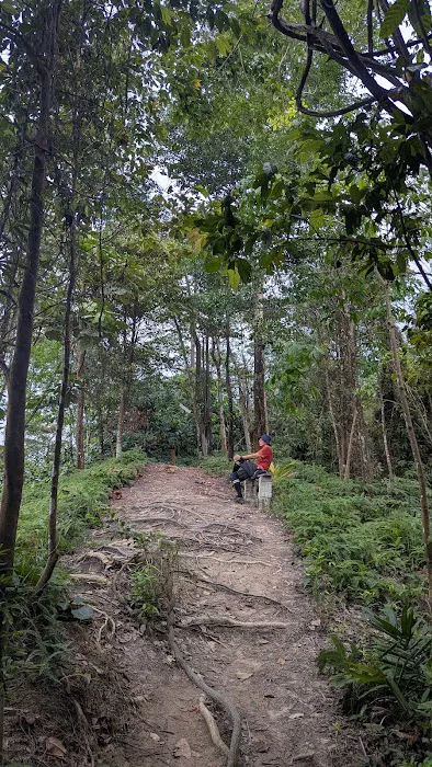 Sri Bintang Hill Trail Peak 2 Picture 5
