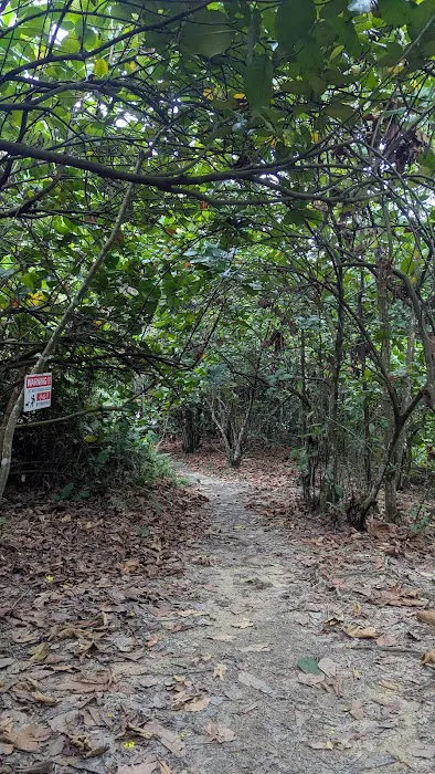 Sri Bintang Hill Trail Peak 2 Picture 6
