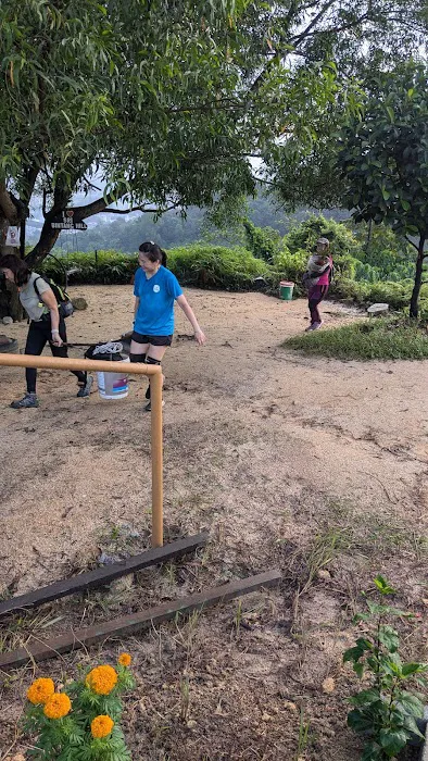 Sri Bintang Hill Trail Peak 2 Picture 9