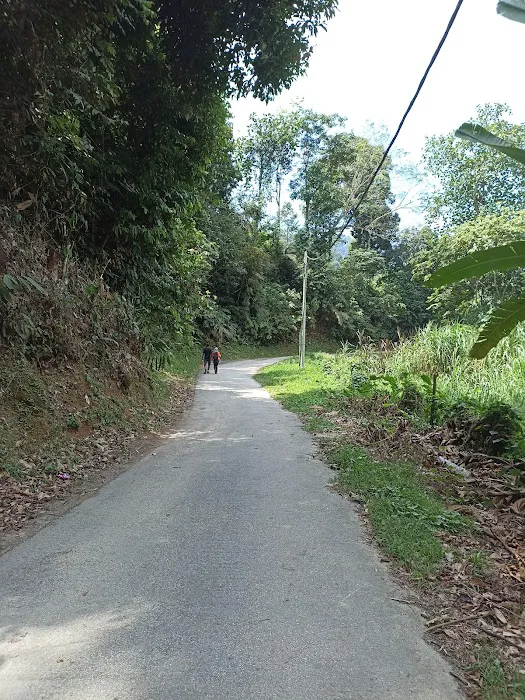 Bukit Lagong Trail Viewpoint Picture 2