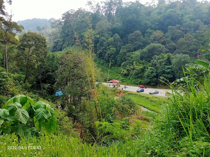 Bukit Lagong Trail Viewpoint Picture 5