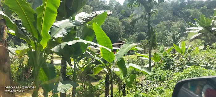 Bukit Lagong Trail Viewpoint Picture 9