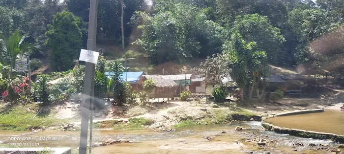 Bukit Lagong Trail Viewpoint Picture 7