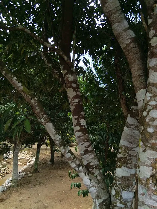 Perigi Sejarah Mat Kilau Picture 1
