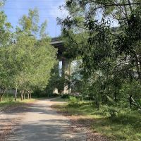 Dead Ball's run site ico