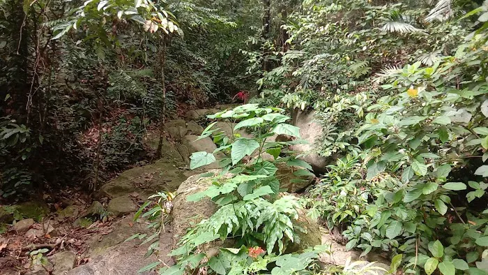KOLAM TAKUNGAN BEKALAN AIR KESIHATAN KG BELUAN Picture 1