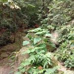 KOLAM TAKUNGAN BEKALAN AIR KESIHATAN KG BELUAN