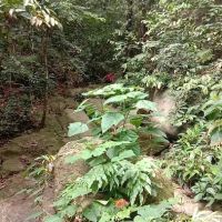 KOLAM TAKUNGAN BEKALAN AIR KESIHATAN KG BELUAN ico