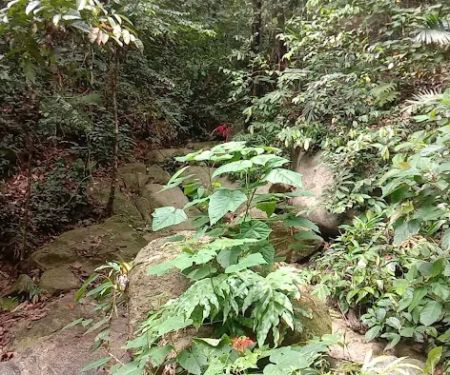 KOLAM TAKUNGAN BEKALAN AIR KESIHATAN KG BELUAN