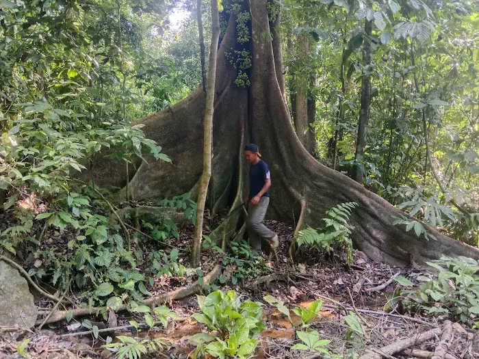 KOLAM TAKUNGAN BEKALAN AIR KESIHATAN KG BELUAN Picture 6