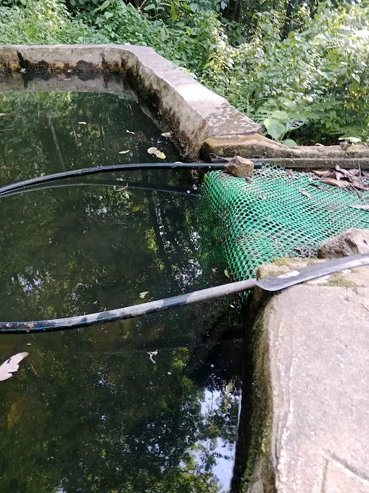 KOLAM TAKUNGAN BEKALAN AIR KESIHATAN KG BELUAN Picture 5