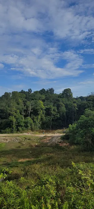 Mont Kiara Water Buffalo Lake Picture 1