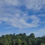 Mont Kiara Water Buffalo Lake
