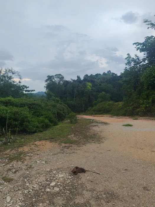 Mont Kiara Water Buffalo Lake Picture 2