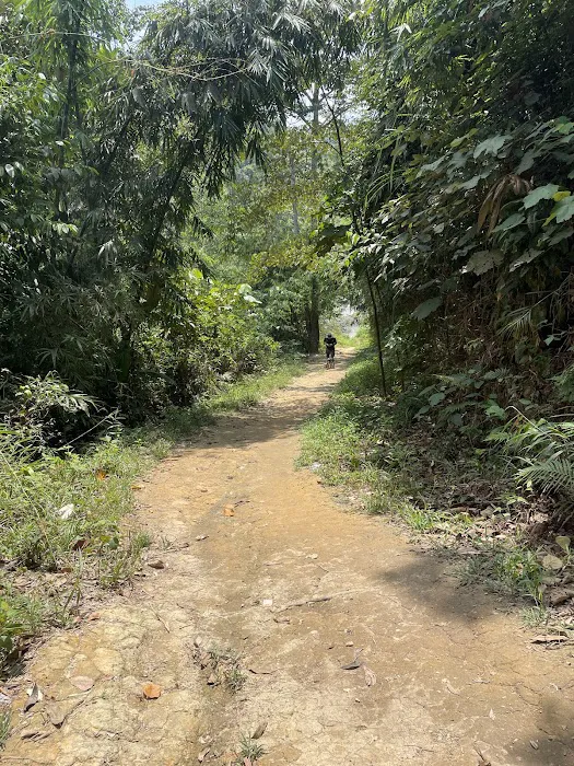 Bukit Lagong Trail Head Picture 1