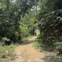 Bukit Lagong Trail Head ico