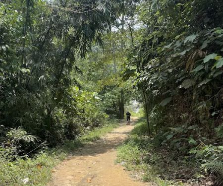 Bukit Lagong Trail Head