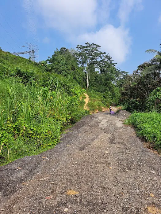 Bukit Lagong Trail Head Picture 8