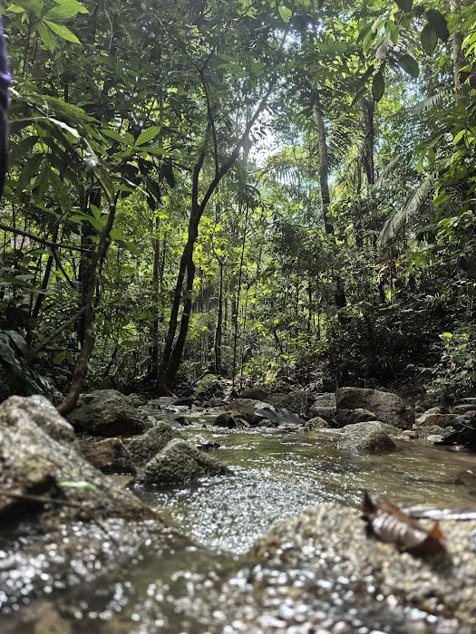 Bukit Lagong Trail Head Picture 4