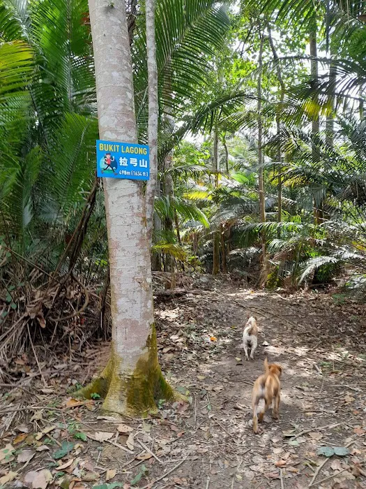 Bukit Lagong Trail Head Picture 3
