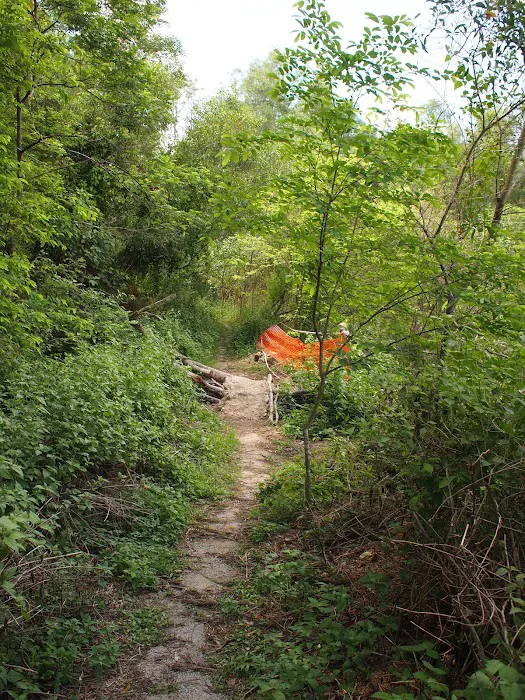 Mozzie Trail Picture 5