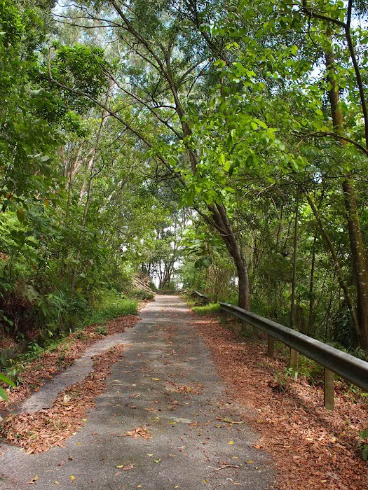 Mozzie Trail Picture 8