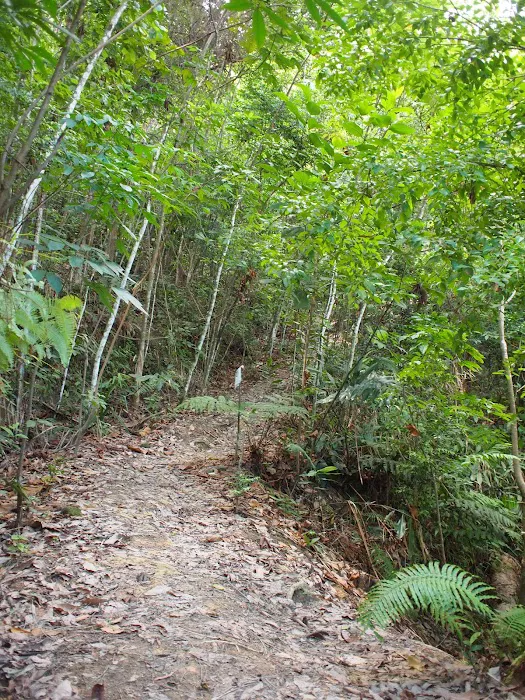 Mozzie Trail Picture 7