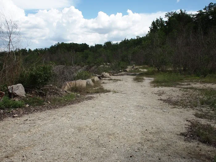 Mozzie Trail Picture 9