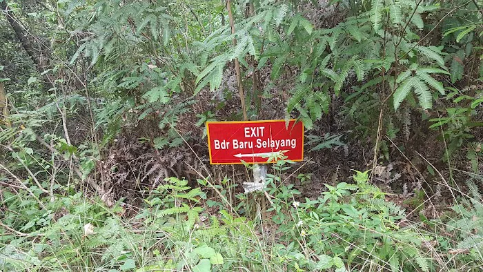 Mozzie Trail Picture 2