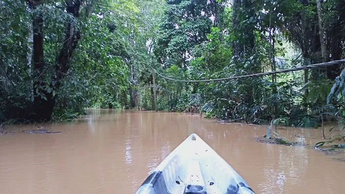 Pulau Berala Campsite & Recreation Picture 4