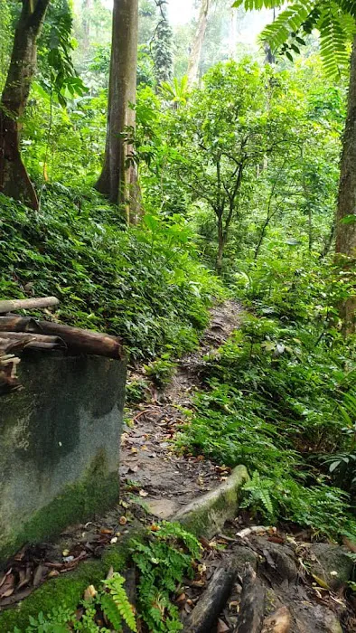 Look out point Bkt Kiara Picture 1