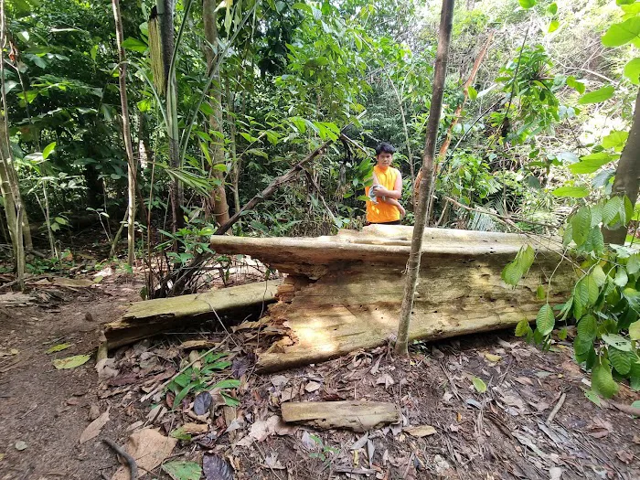 Look out point Bkt Kiara Picture 10