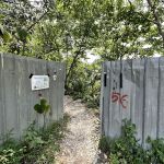 Bukit Kiara Trail (Kiaramas Ayuria Entrance)
