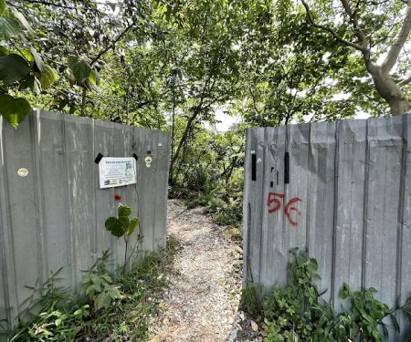 Bukit Kiara Trail (Kiaramas Ayuria Entrance)