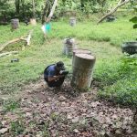 XVENTURE PAINTBALL PARK