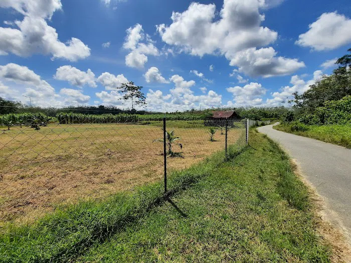 RIMBUNAN HIJAU AGROFARM Picture 2
