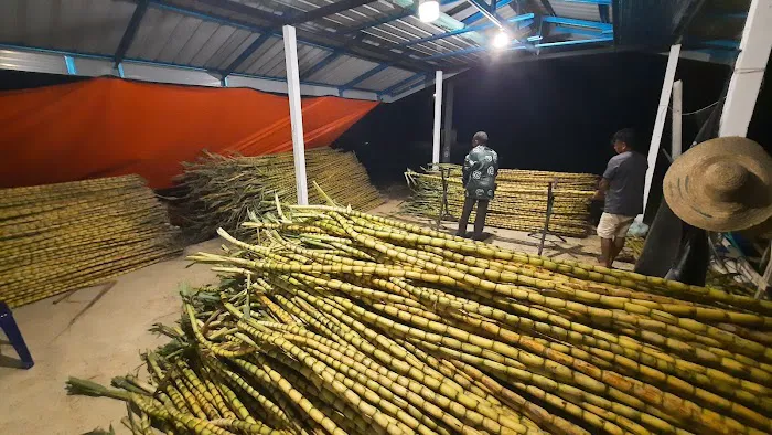 RIMBUNAN HIJAU AGROFARM Picture 1